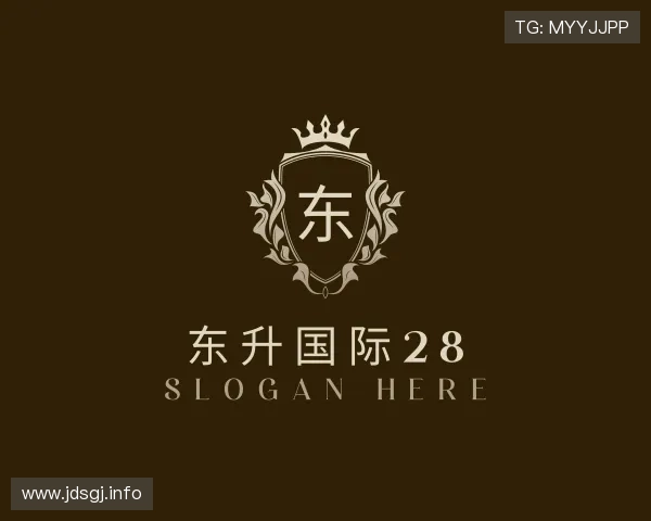 发现东升国际28